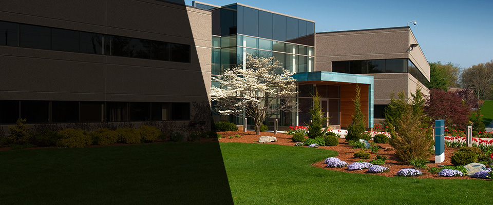 Forest Park Landscapers