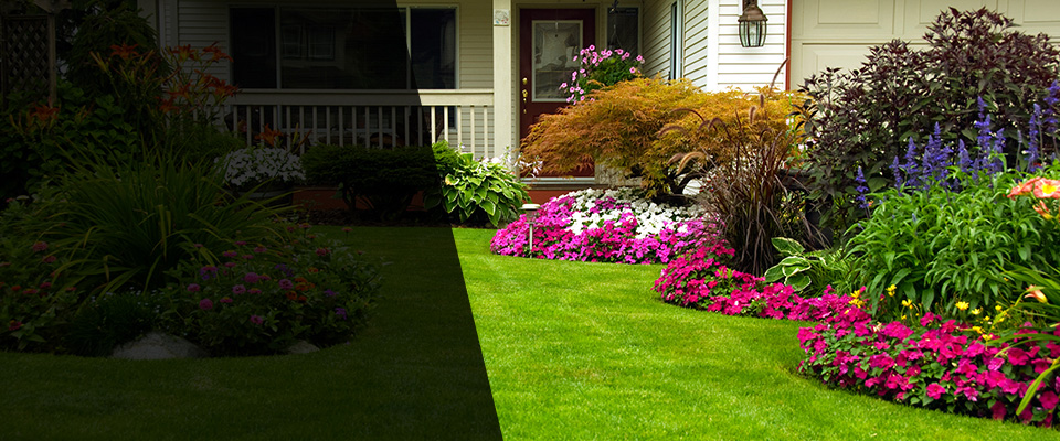 Forest Park Landscapers